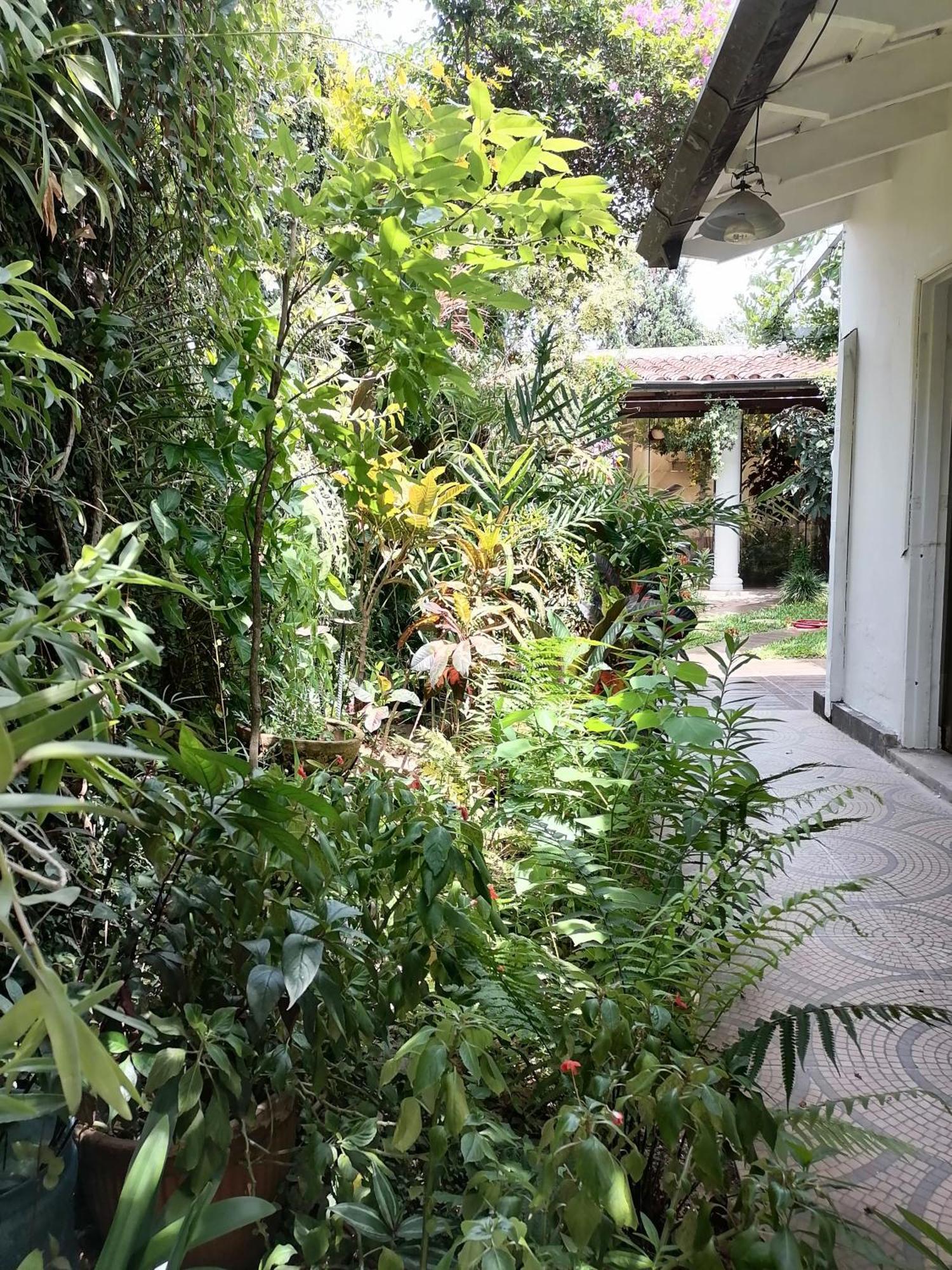 Granados Bed & Breakfast Asunción Exterior photo