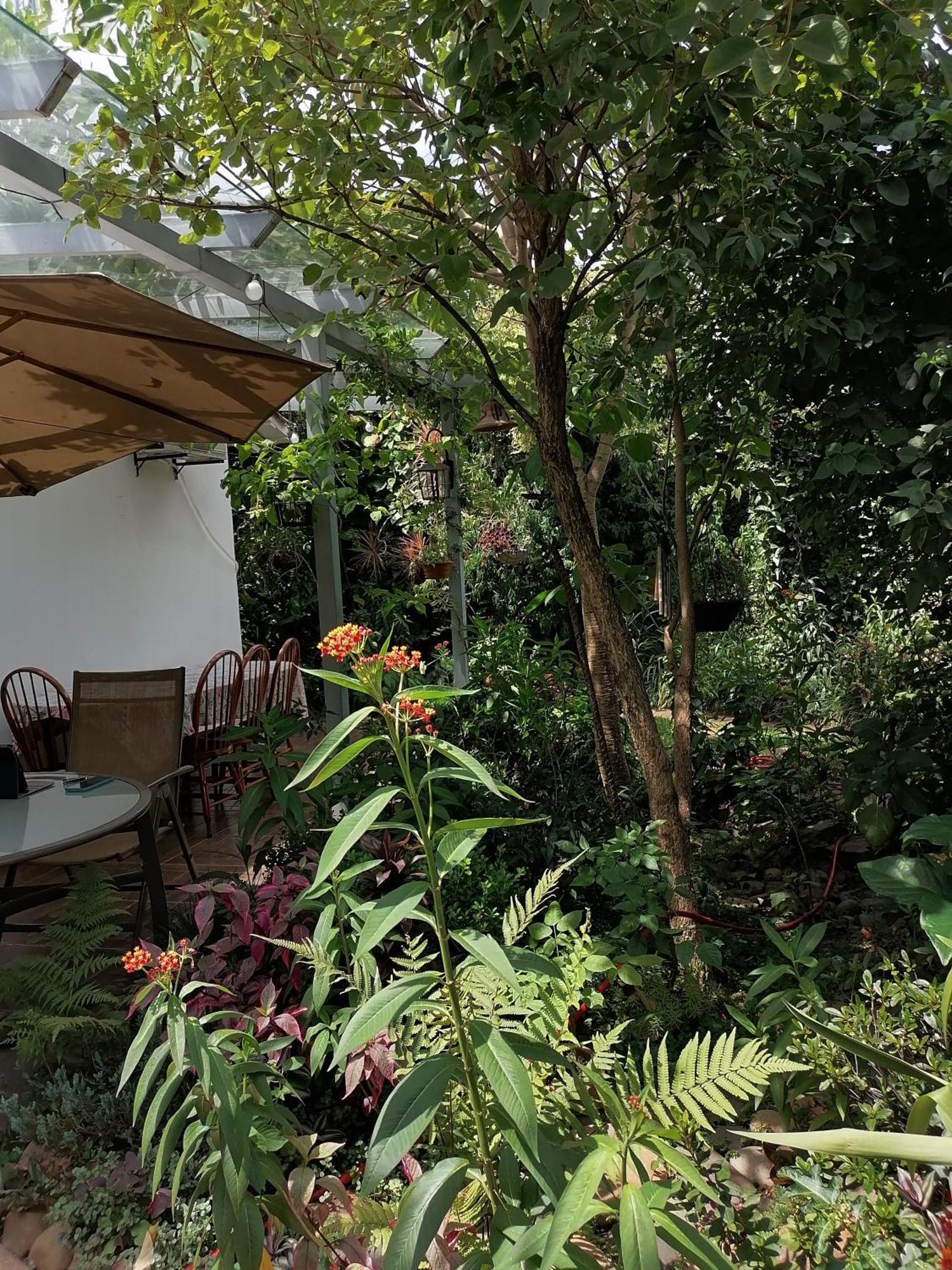 Granados Bed & Breakfast Asunción Exterior photo